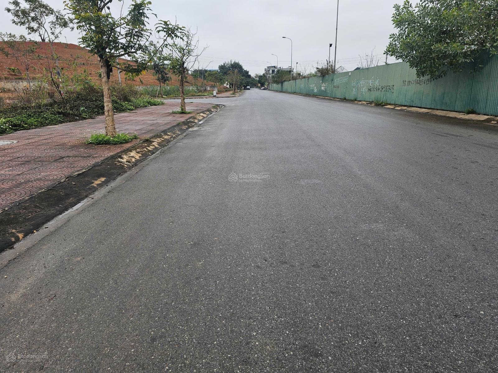 Bán Gấp Biệt Thư Siêu Vip KĐt Nam Vĩnh Yên